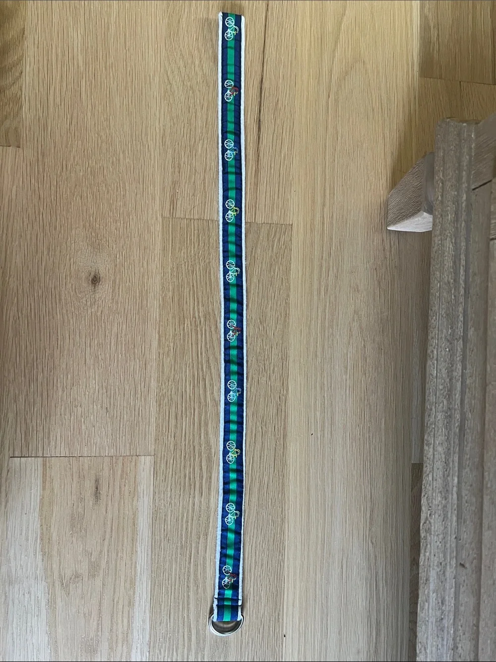 Baby boy Ralph Lauren Striped Bicycle Embroidered Fabric Belt - Blue & Green